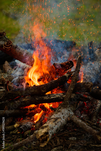 Bright and hot flame of bonfire. Firewood and hot coals.