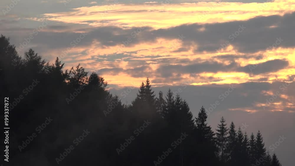 4K Timelapse Foggy Forest in Mountains Sunset View, Mist Smoke in Alpine Wood 4K Timelapse Foggy Forest in Mountains Sunset View, Mist Smoke in Alpine Wood