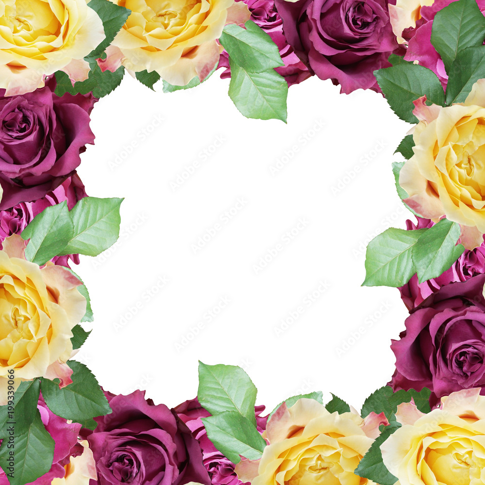 Beautiful floral background of roses. Isolated Beautiful floral background of roses. Isolated