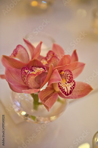 Fototapeta Naklejka Na Ścianę i Meble -  Orchid arrangement for wedding