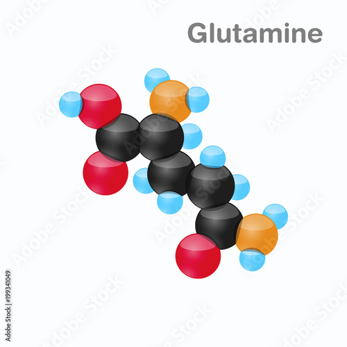 Molecule of Glutamine, Gln, an amino acid used in the biosynthesis of proteins