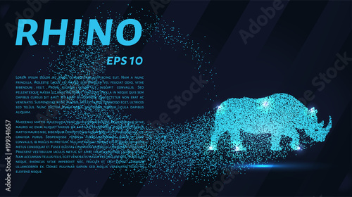 Rhino of the particles. Rhino consists of small circles