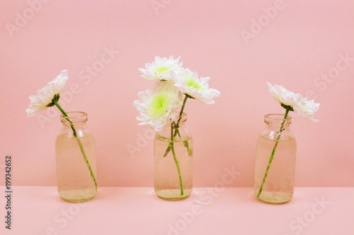 Chrysanthemums in a glass bottle on pink background