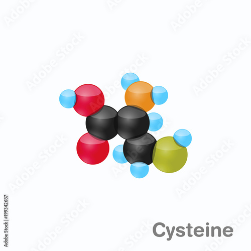 Molecule of Cysteine, Cys, an amino acid used in the biosynthesis of proteins