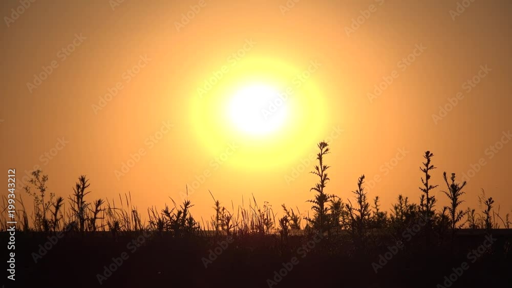 Traffic Cars Roads at Sunset, Driving on Highways at Sunrise, Rural Roadway 4K Traffic Cars Roads at Sunset, Driving on Highways at Sunrise, Rural Roadway 4K