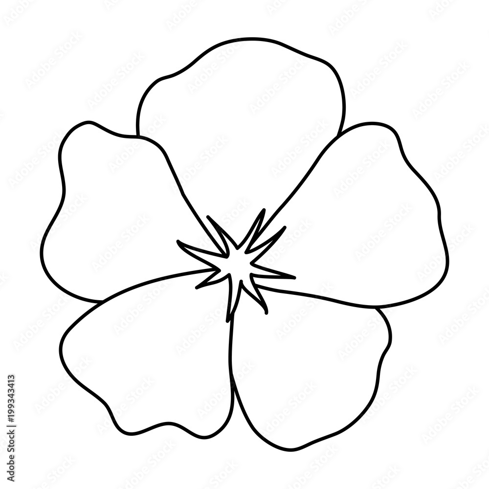 Fotografie tropical flower icon over white background, vector illustration