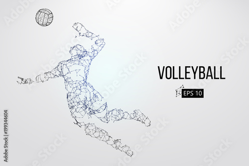 Silhouette of volleyball player. Vector illustration.