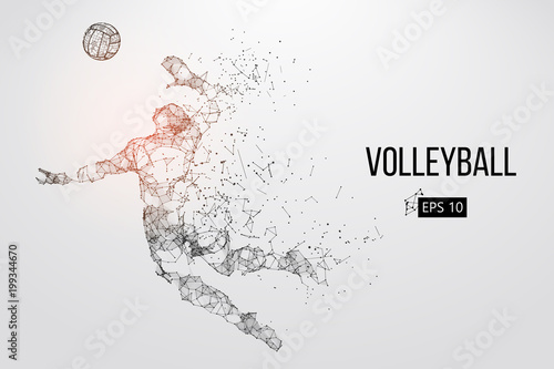Silhouette of volleyball player. Vector illustration.