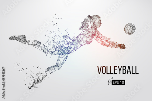Silhouette of volleyball player. Vector illustration.