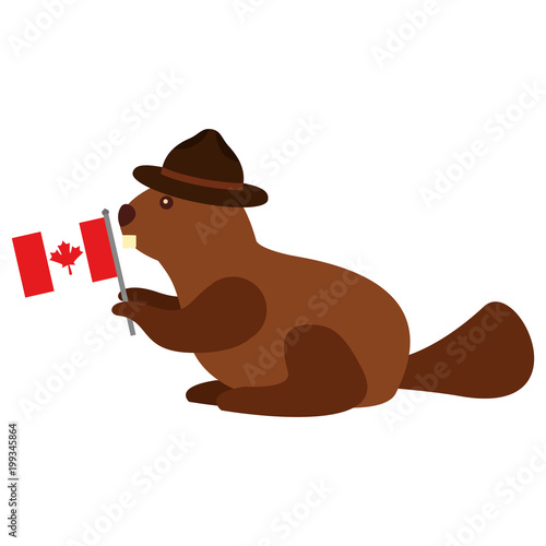 beaver with hat and flag canadian vector illustration design