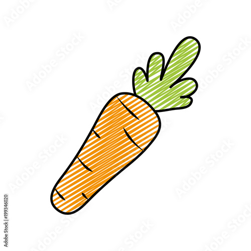 doodle fesh healthy carrot vegetable food