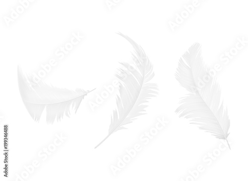 Vector realistic 3d set of white bird or angel feathers in various shapes, isolated on background. Symbol of lightness, innocence, heaven, literature and poetry. Decoration element for your design