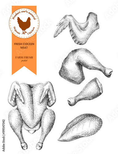 Fresh chicken meat. Set chicken parts