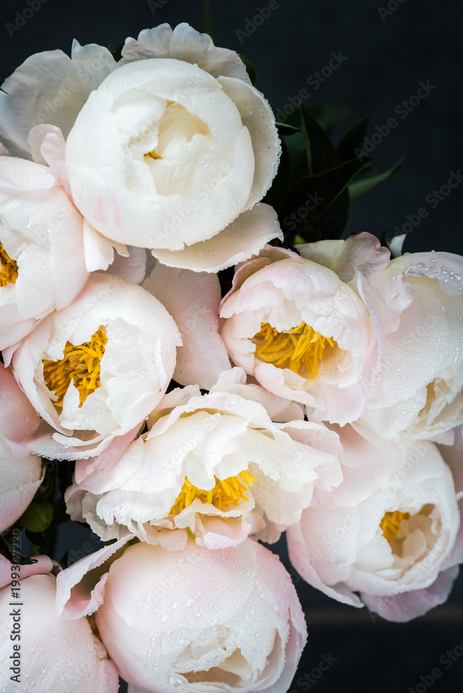 Beautiful bouquet of white Chinese peonies with Water Drops