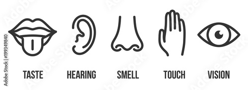 Creative vector illustration line icon set of five human senses. Vision, hearing, smell, touch, taste isolated on transparent background. Art design nose, eye, hand, ear, mouth with tongue element