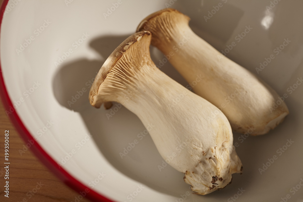 Fototapeta premium raw fresh King Oyster Mushroom(s) grown in Pennsylvania, USA