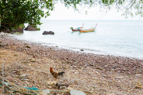 Seagypsy village on Koh Lanta photo