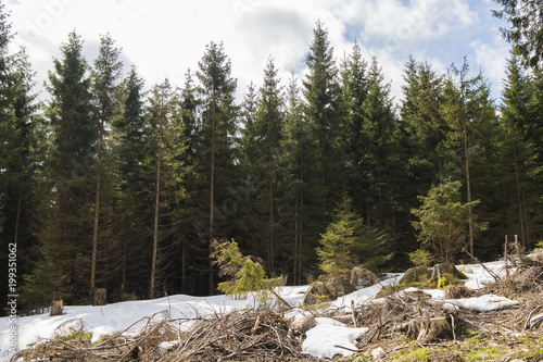 The beautiful nature at the hiking trail from Schierke to the Brocken mountain in Germany / Harz mountains photo