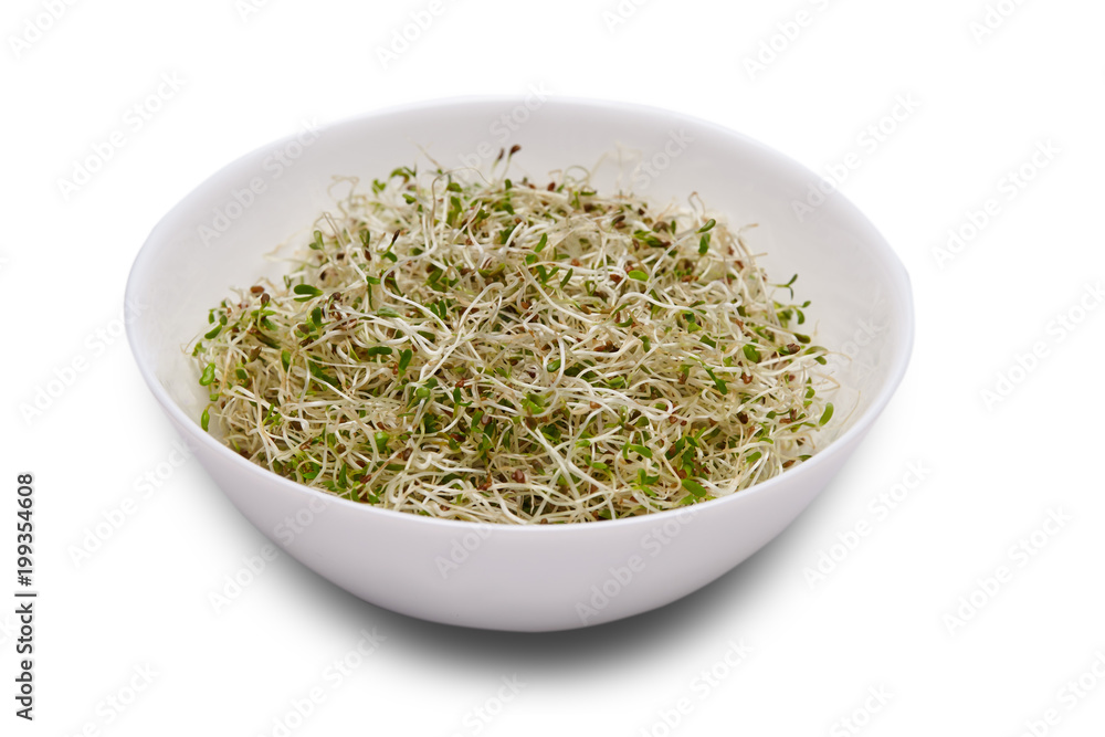 Fresh alfalfa sprouts in white bowl Fresh alfalfa sprouts in white bowl