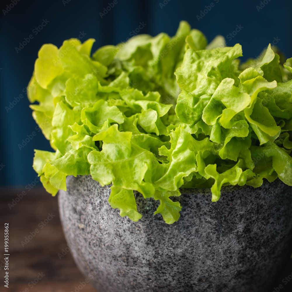 Green Leaf Lettuce Green Leaf Lettuce