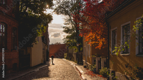 Old street in Lund