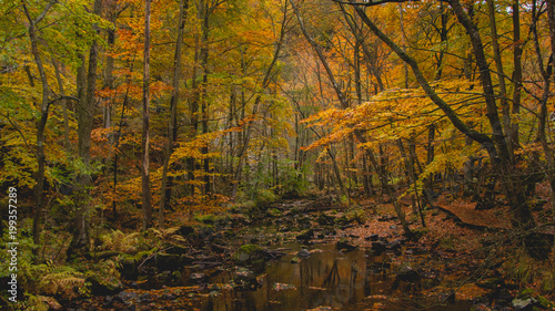 National park autumn 8