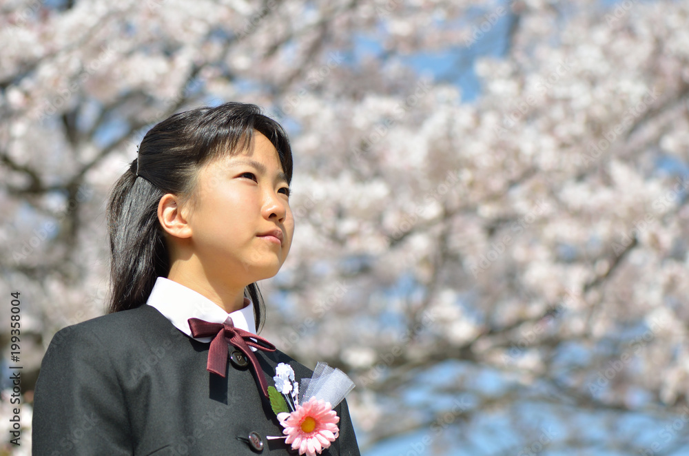 中学一年生の女の子 桜 入学 Stock Photo Adobe Stock