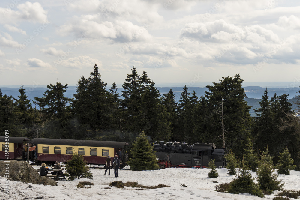 Naklejka premium A historic steam locomotive is on its way from Brocken mountain to Schierke / Harz mountains Germany
