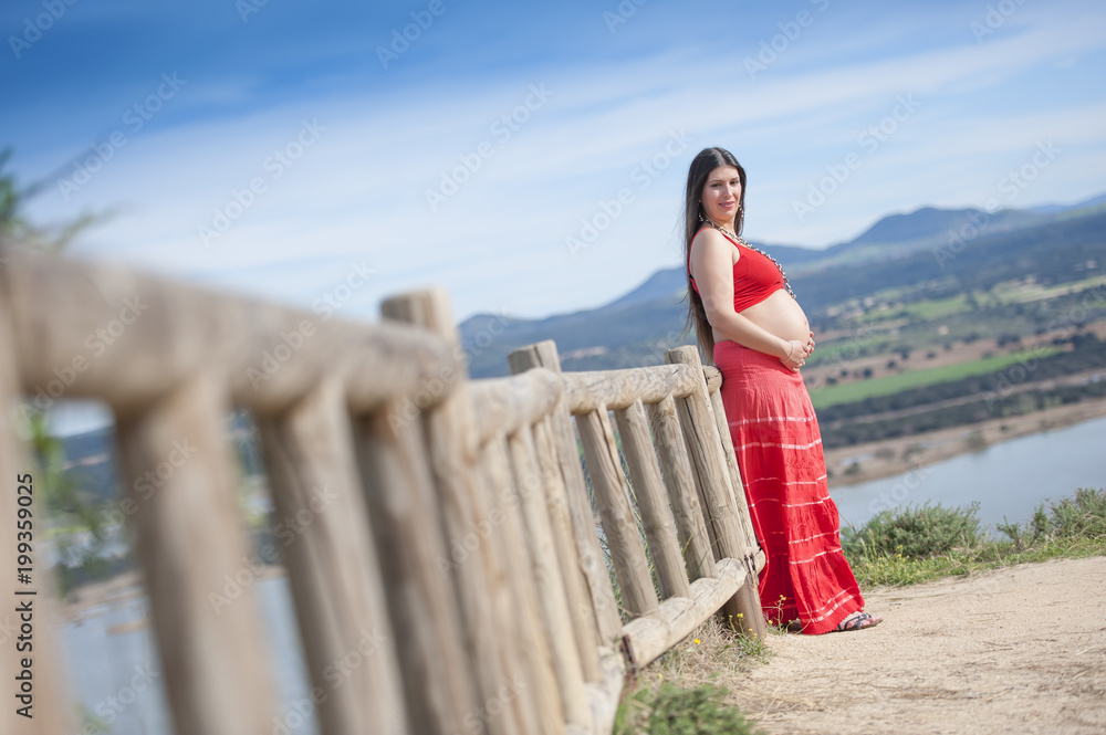 Pretty Pregnant Woman Posing in the Field