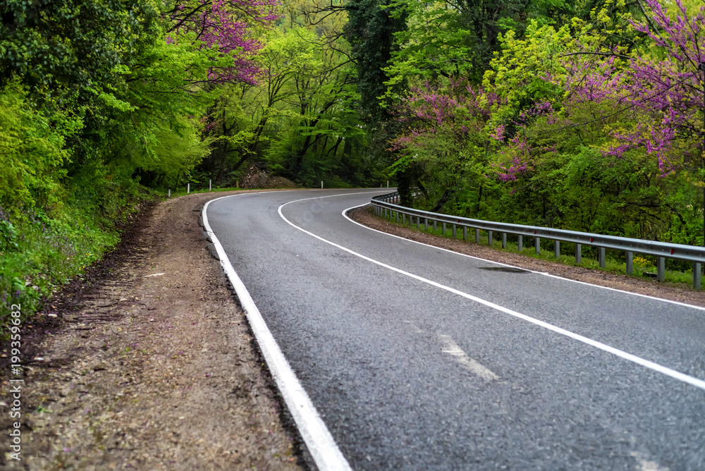 Fototapeta premium Winding modern asphalt road in summer forest