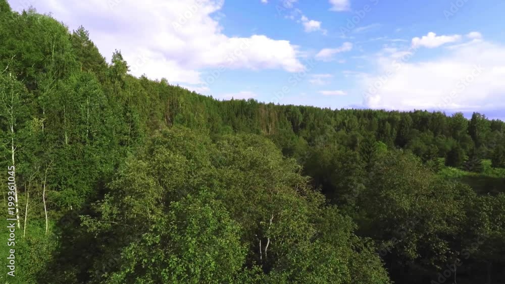 Flying above the forest, smooth movement along the trees, along the forest at the tops of trees