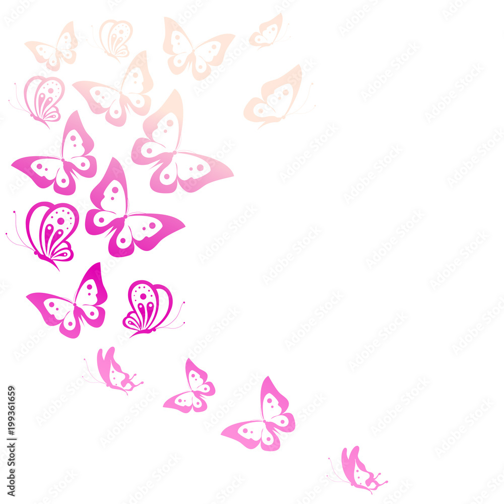 beautiful pink butterflies, isolated  on a white