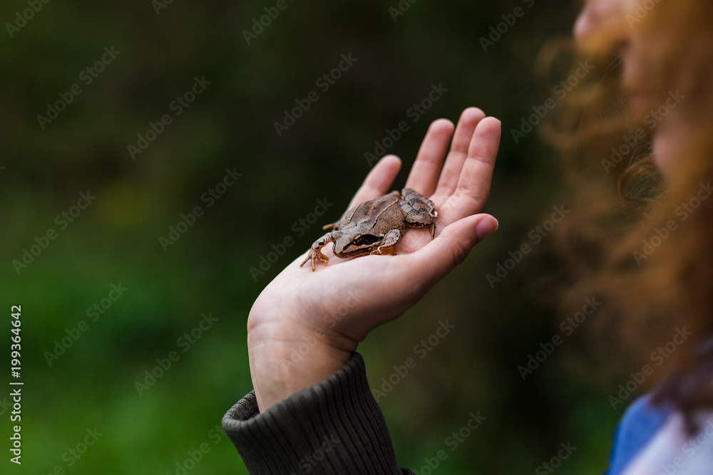 Hand holding a brown frog on green background
