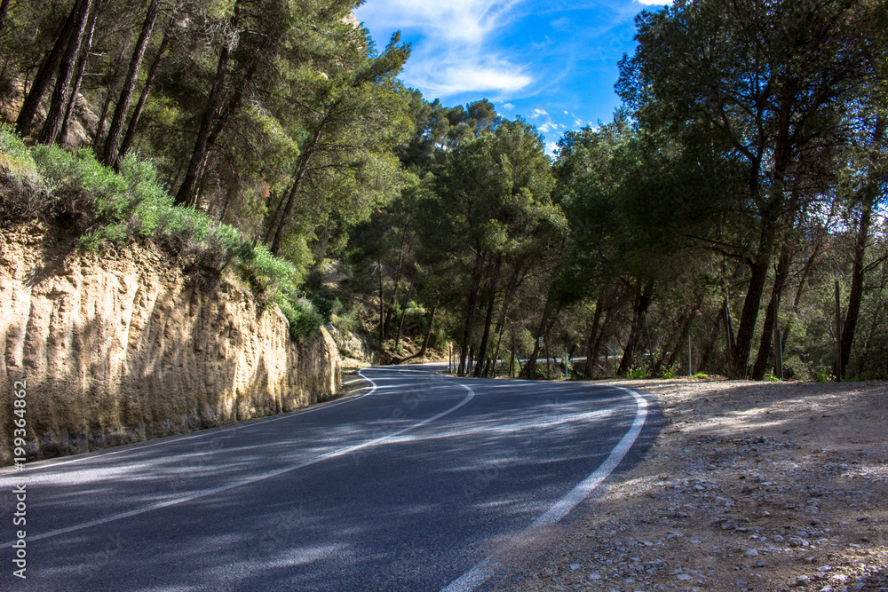 Obraz premium Road. An empty road in the forest.