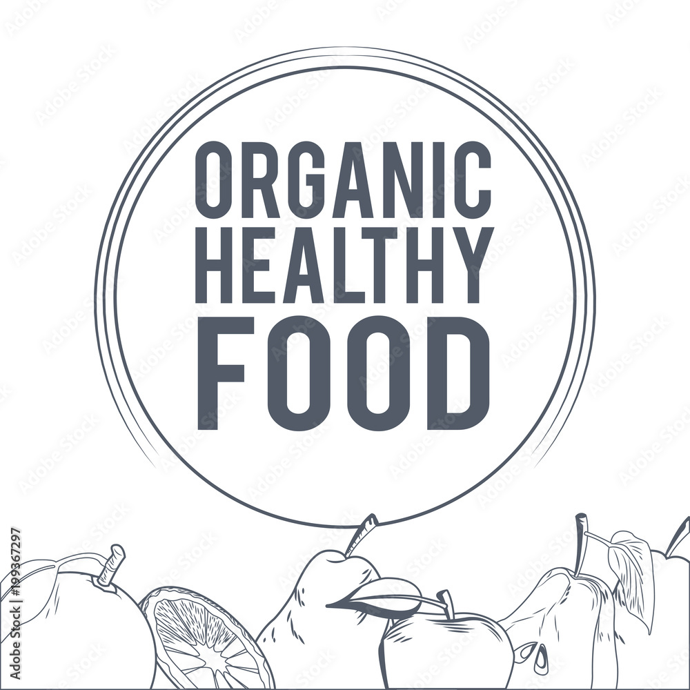 Organic healthy food hand drawings in black and white colors vector illustration