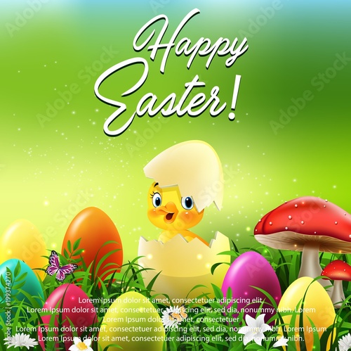 Cute Easter duckling in the broken Easter egg