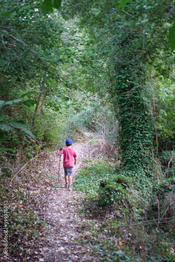 Boy walking on forest path, Crete, Greece Boy walking on forest path, Crete, Greece