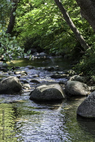 Rocks in stream