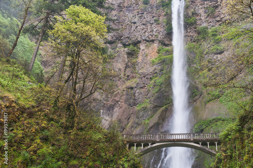 Multnomah Falls photo