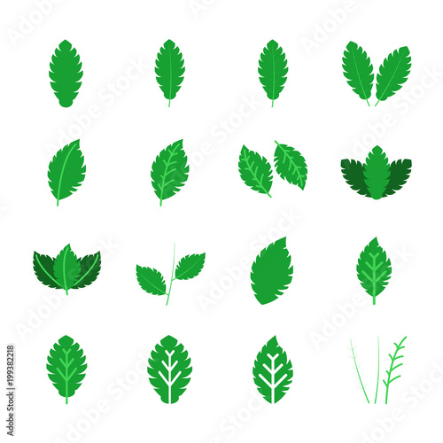leaf icons set. vector illustration. © VectorBoyZ