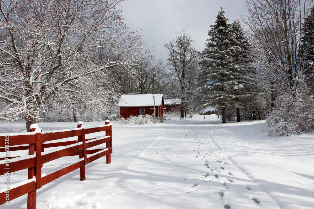 Agriculture and rural life at winter background.Rural landscape with red barns, wooden red fence, trees and road covered by fresh snow. Scenic winter view at Wisconsin, Midwest USA, Madison area. Agriculture and rural life at winter background.Rural landscape with red barns, wooden red fence, trees and road covered by fresh snow. Scenic winter view at Wisconsin, Midwest USA, Madison area.