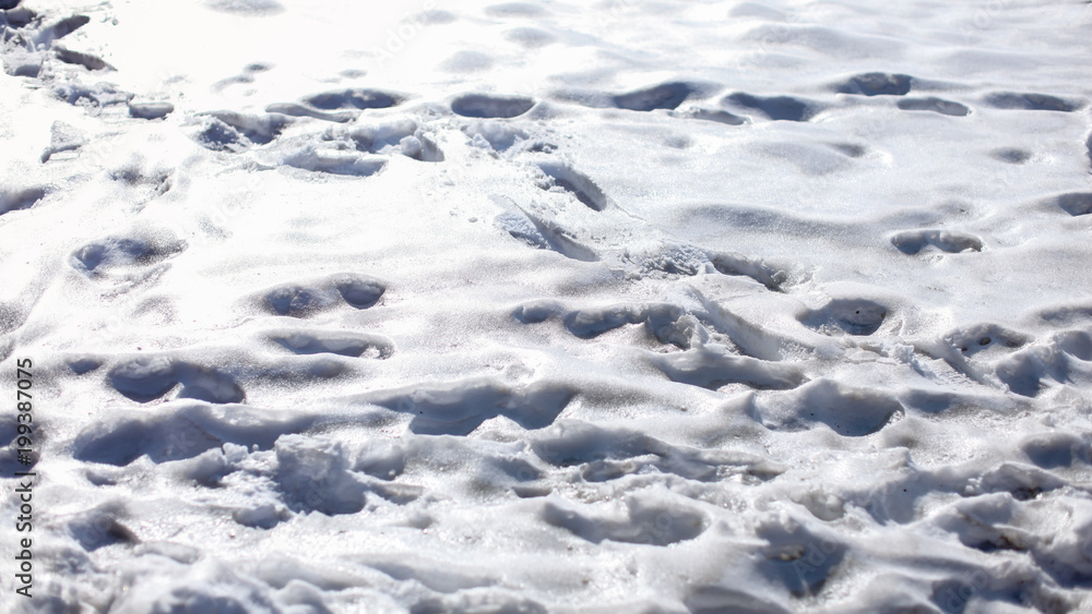 Footprints in glossy snow melting on sunlight.