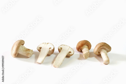 Fresh Champigon Mushroom isolated on white background