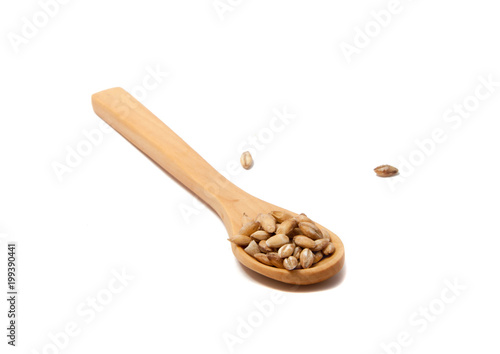 Wooden spoon with grain on the white