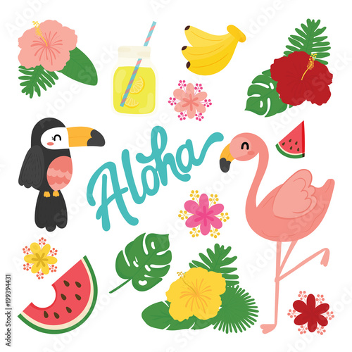 cute summer vector