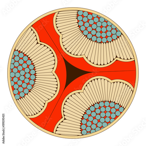 japanese style graphic circle pattern with sunflowers in red and blue