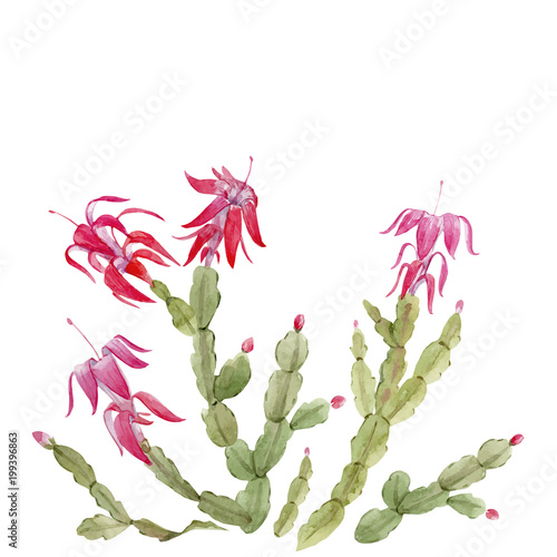 Schlumberger cactus vector composition