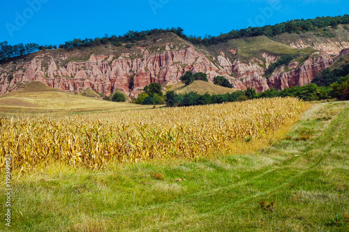 Red clays with dinosaur fossils. Geological reserve photo