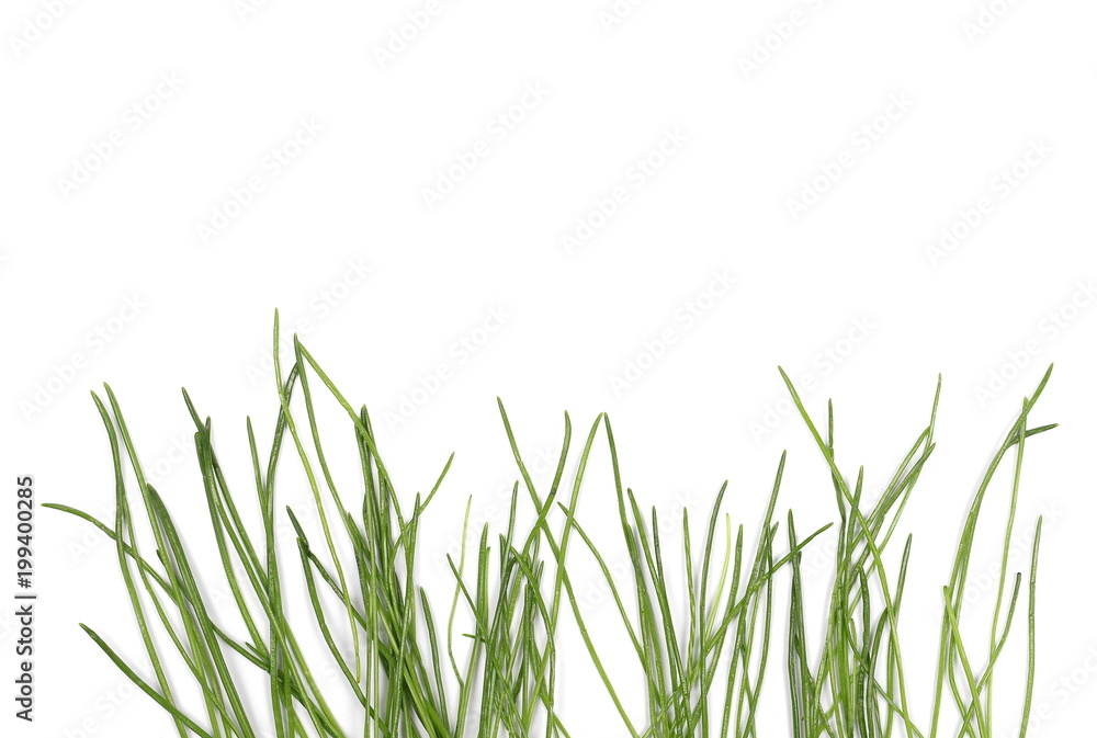 Obraz premium Green grass isolated on white background and texture
