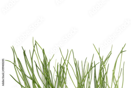 Green grass isolated on white background and texture